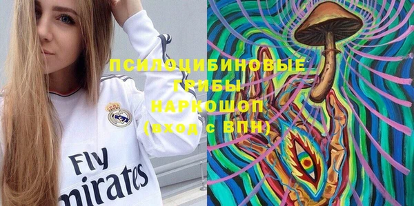 прущий лед Богородицк