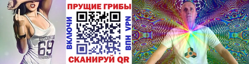 Галлюциногенные грибы Cubensis  Улан-Удэ 